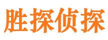 长寿侦探公司